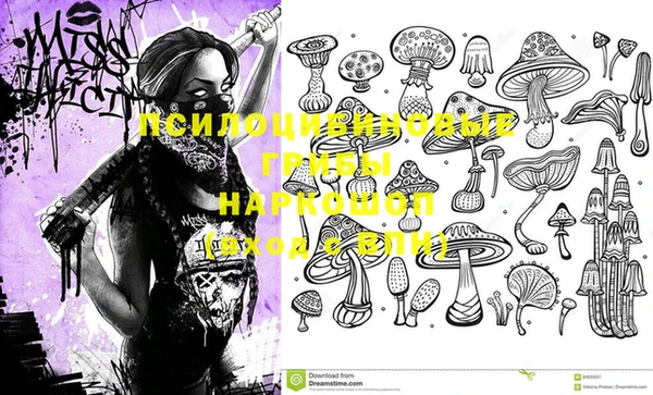 экстази Баксан