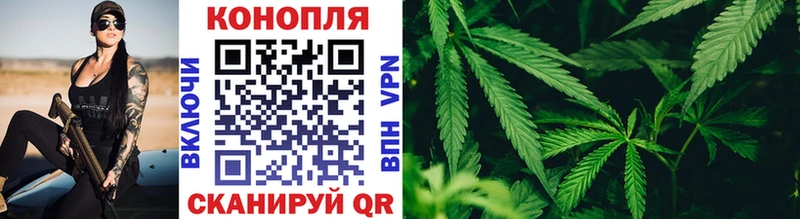 Бошки Шишки планчик Закаменск